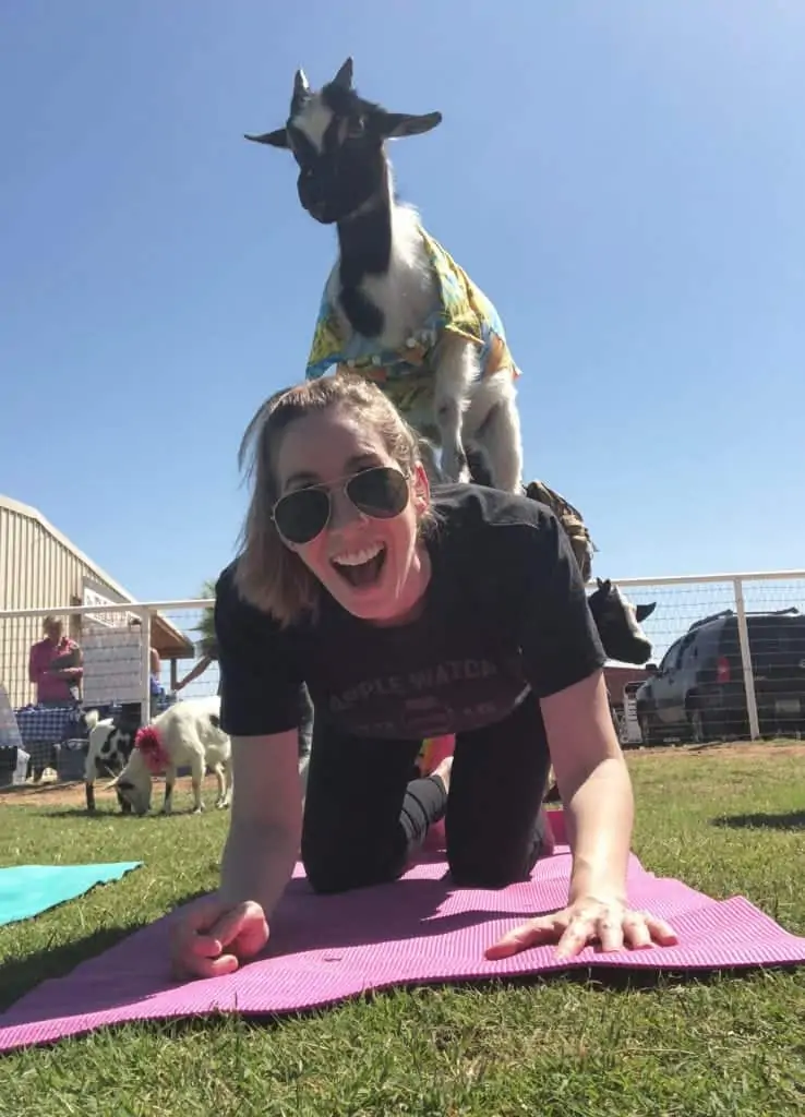 goat yoga arizona