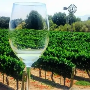 santa ynez valley lincourt vineyards