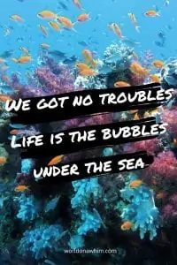 under the sea quotes