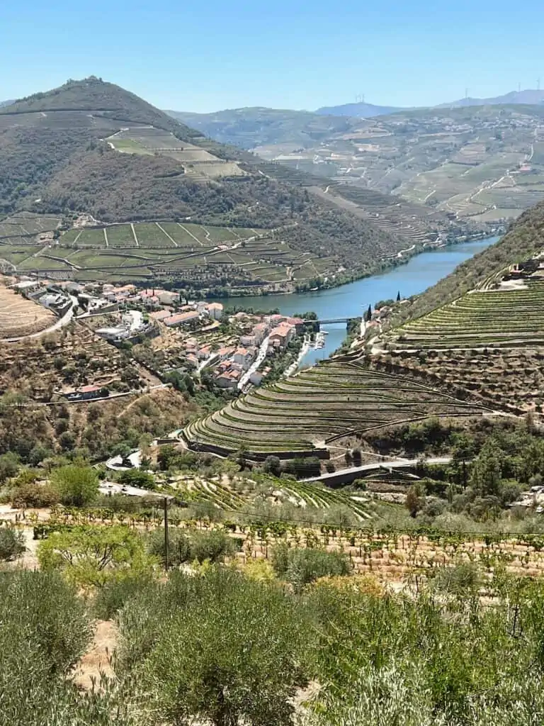 View of the Duoro River Valley
